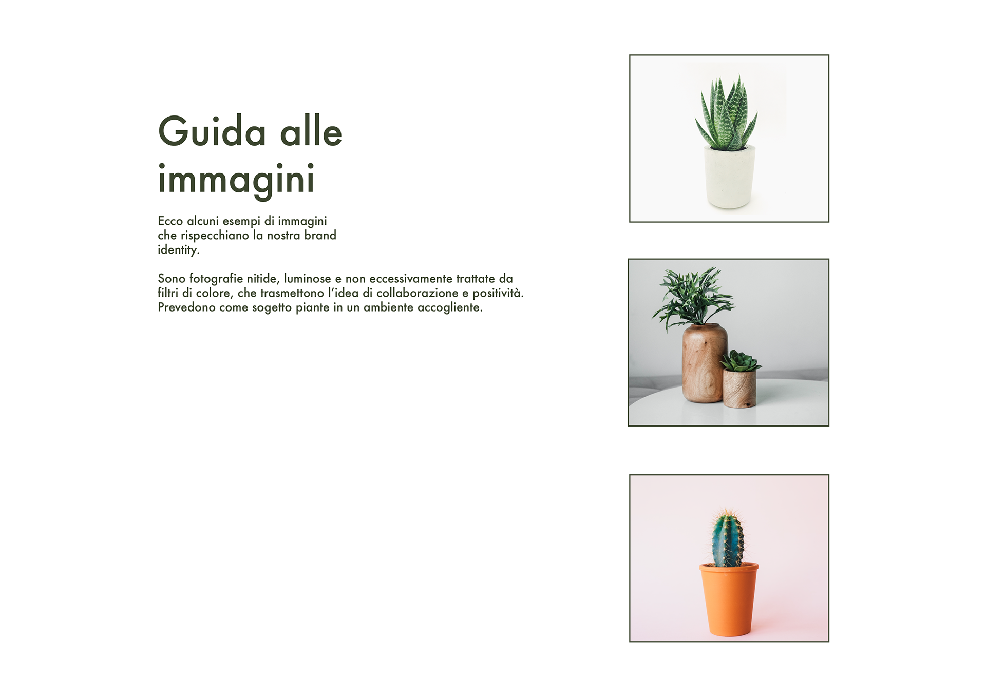 Immagini Garden Hause